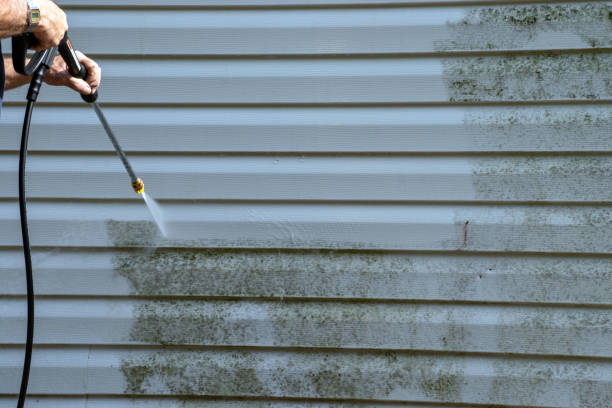 Best Shed Removal  in New Holland, PA